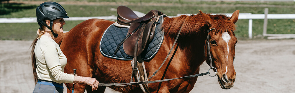 Pferdeversicherung Pferdeversicherung